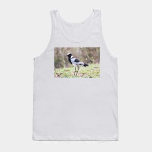 Blacksmith Plover - Krüger National Park, South Africa Tank Top